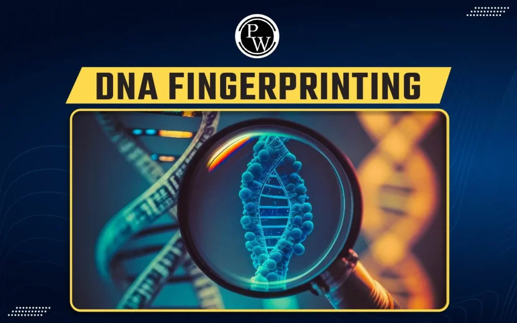 DNA finger print Tech jobs 2024