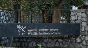 Wildlife Institute of India Recruitment 2024