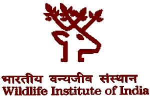 Wildlife Institute of India Recruitment 2024