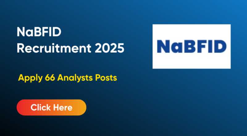 NaBFID Recruitment 2025