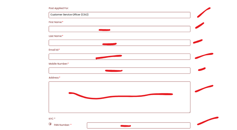 NABFINS Recruitment 2025