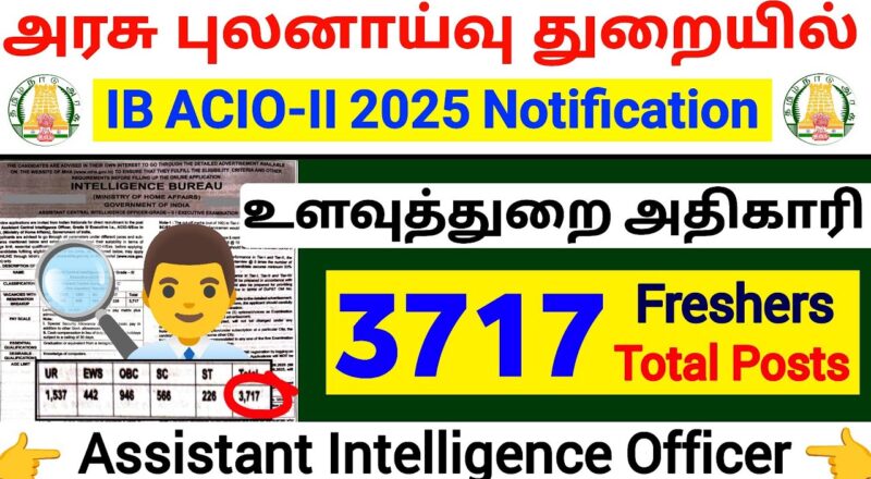 IB Recruitment 2025