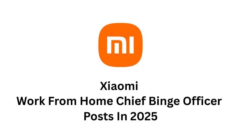 Xiaomi Work From Home Chief Binge Officer Posts In 2025